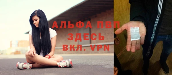 СК Кукмор