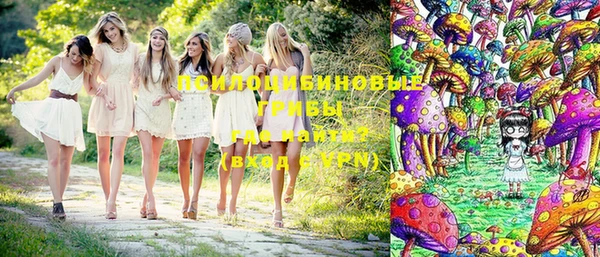 СК Кукмор