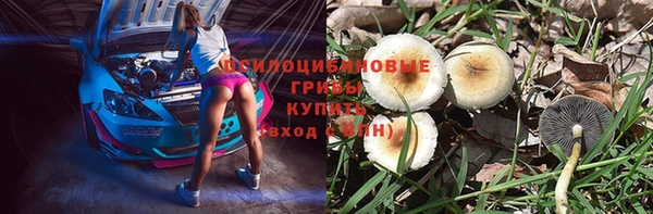 трава Куйбышев